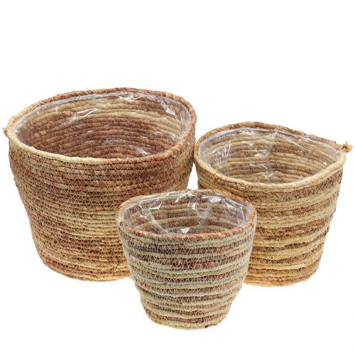 Cesto para plantas rattan nature/castanho Ø26/22/16cm 3uds