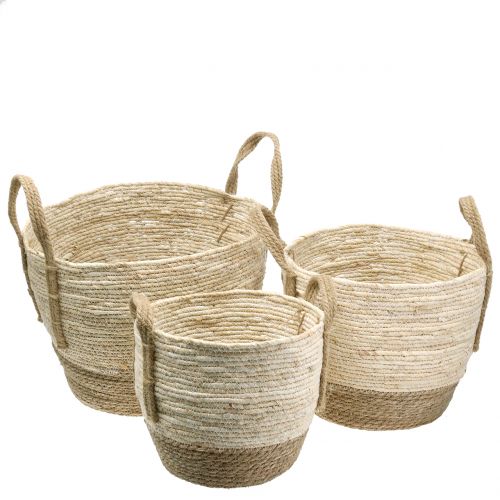 Floristik24 Cesto rattan nature/castanho Ø40/32/26cm 3uds