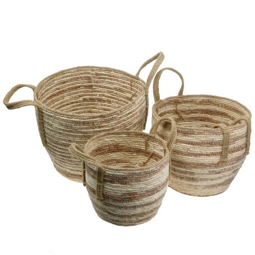 Floristik24 Cesta de vime natural / marrom Ø40 / 32 / 26cm 3 unidades