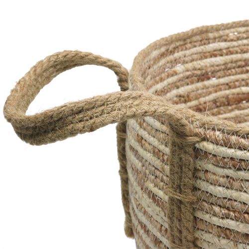 Floristik24 Cesta de vime natural / marrom Ø40 / 32 / 26cm 3 unidades