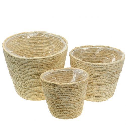 Floristik24 Cesto para plantas rattan nature Ø26/22/16cm 3uds