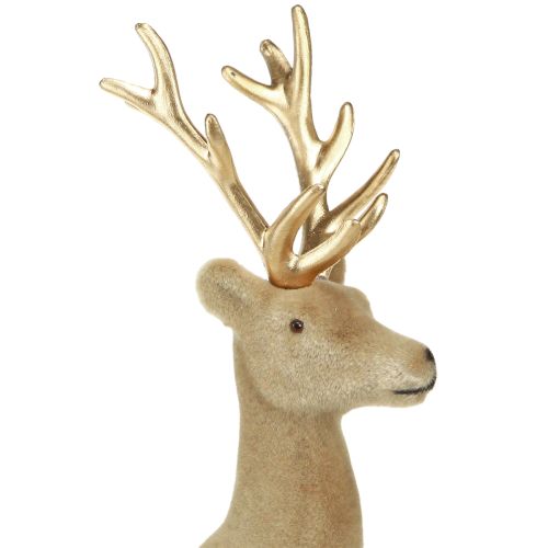 Floristik24 Decoração de veado sentado flocado marrom claro 15×6×15,5cm