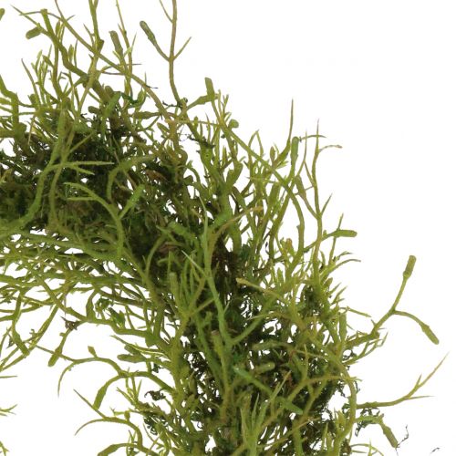 Floristik24 Grinalda de primavera com verde musgo Ø30cm