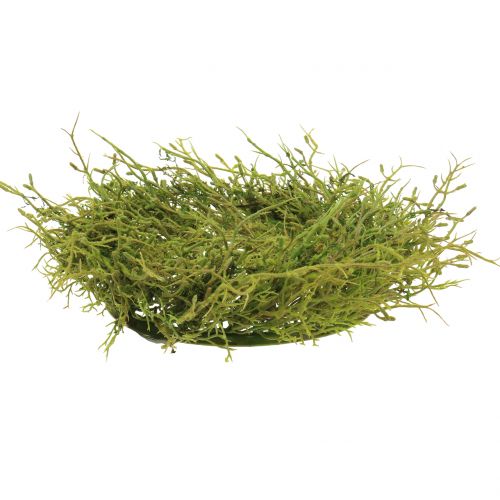 Floristik24 Grinalda de primavera com verde musgo Ø30cm