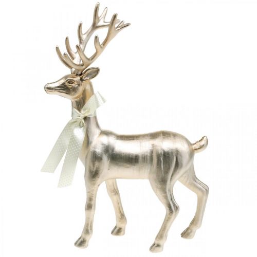 Floristik24 Veado decorativo em pé champanhe decoração figura Advento 36 cm