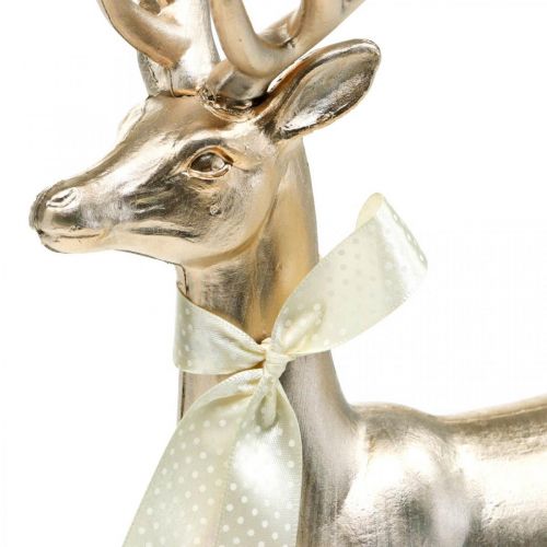 Floristik24 Veado decorativo em pé champanhe decoração figura Advento 36 cm