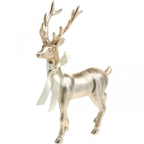 Floristik24 Veado decorativo em pé champanhe decoração figura Advento 36 cm