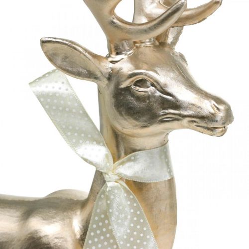 Floristik24 Figura decorativa cervo champanhe cervo decorativo grande Natal 47cm