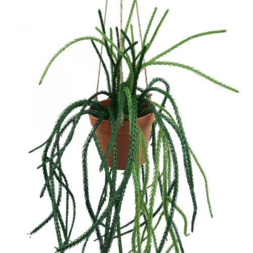 Itens Cesto suspenso de cacto coral artificial Rhipsalis H87cm