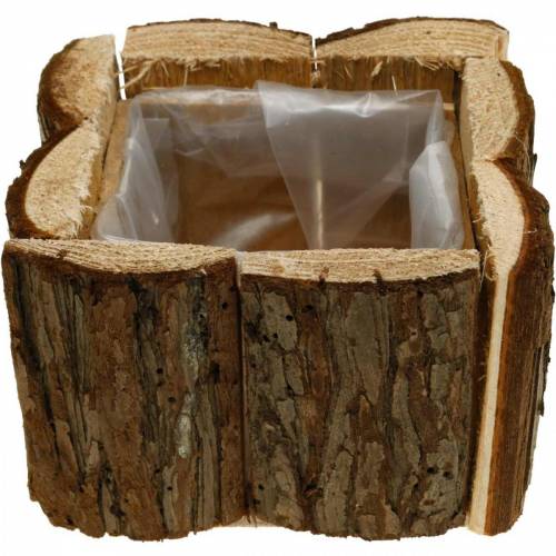 Floristik24 Caixa de planta casca flor caixa madeira 14×14cm