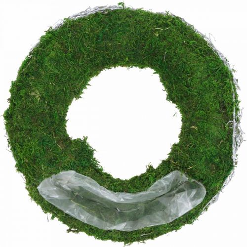 Floristik24 Anel de planta de grinalda de musgo com videiras e verde musgo, Ø35cm branco