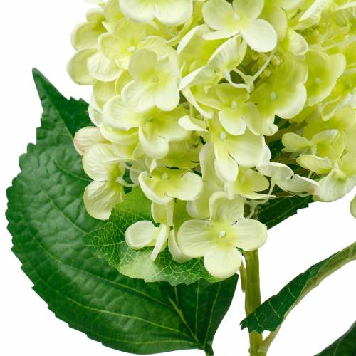 Itens Panícula artificial hortênsia, hortênsia verde, flor de seda de alta qualidade 98 cm