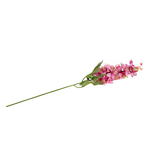 Floristik24 Larkspur Rosa 60cm