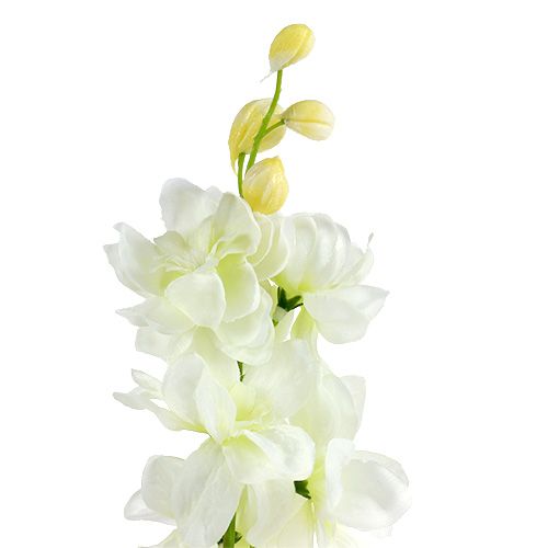 Floristik24 Larkspur branco L60cm