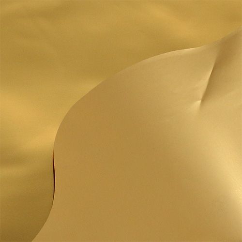 Floristik24 Punho Rondella dourado brilhante, fosco Ø50cm 50p