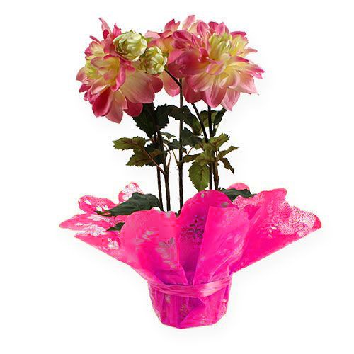 Floristik24 Punhos Rondella Ø58cm rosa 50 unidades