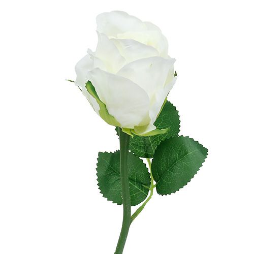 Floristik24 Rosa branca Ø6cm L30cm 6pcs