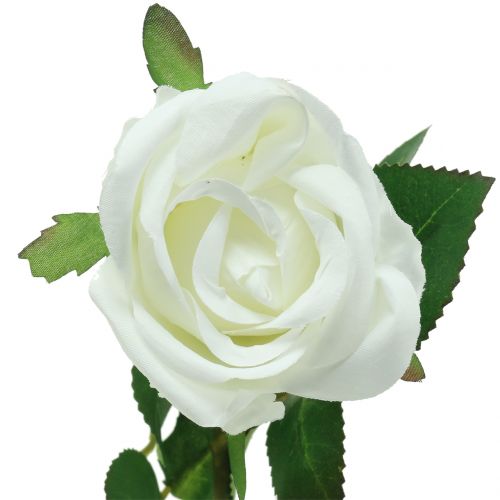 Floristik24 Rosa branco 44 cm para decoração 6 unidades