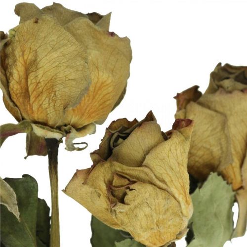 Itens Rosa de flores secas, Dia dos Namorados, floricultura seca, rosas decorativas rústicas amarelo-violeta L45-50cm 5pcs