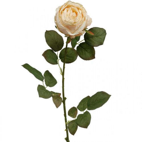 Itens Rosa creme, flor de seda, rosa artificial C74cm Ø7cm