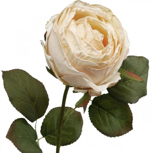 Rosa Creme Flor de Seda Rosa Artificial L74cm Ø7cm
