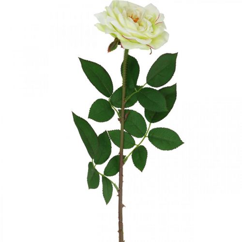 Rosa artificial, rosa decorativa, flor de seda creme branco, verde L72cm Ø12cm