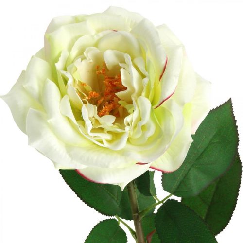 Rosa artificial, rosa decorativa, flor de seda creme branco, verde L72cm Ø12cm