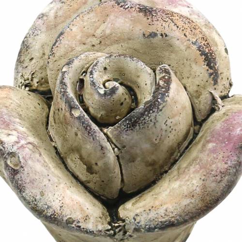 Floristik24 Concreto rosa cinza, violeta Ø7,7 Alt.5,5cm 3 unid.