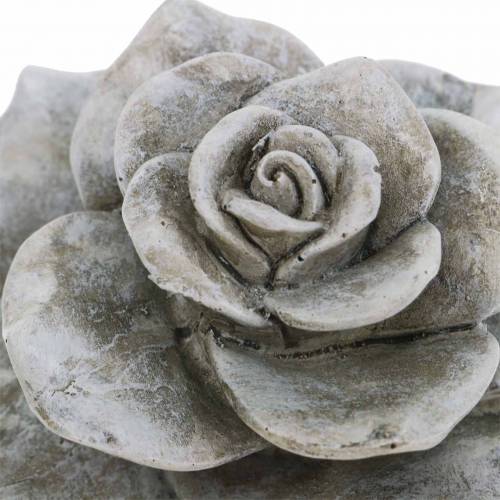 Floristik24 Deco rosa cinza Ø9,3cm