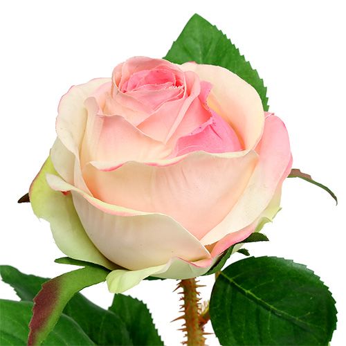 Floristik24 Rosa artificial rosa creme Ø9cm C45cm 1 peça