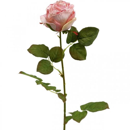 Floristik24 Rosa Deco, decoração de flores, rosa artificial L74cm Ø7cm