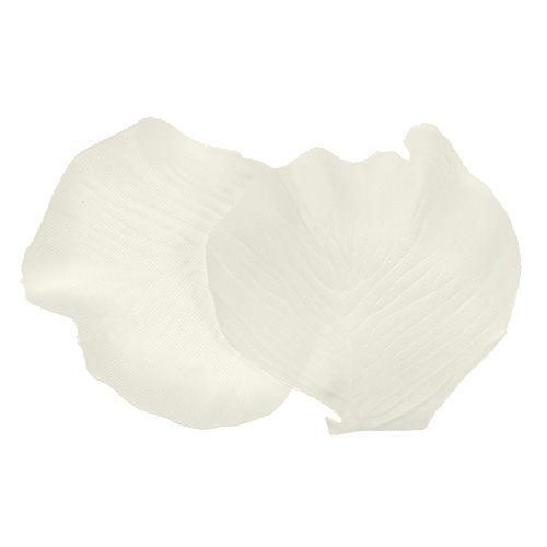 Floristik24 Creme de pétalas de rosa 4,5cm 144p