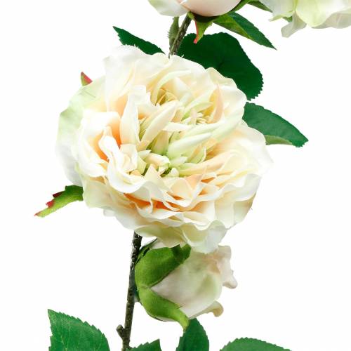 Floristik24 Guirlanda de Rosas Românticas Flor de Seda Rosa Artificial Vinha 160cm