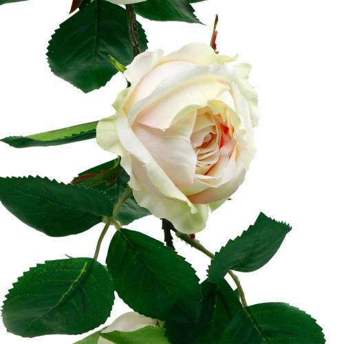Itens Guirlanda de Rosas Românticas Flor de Seda Rosa Artificial Vinha 160cm