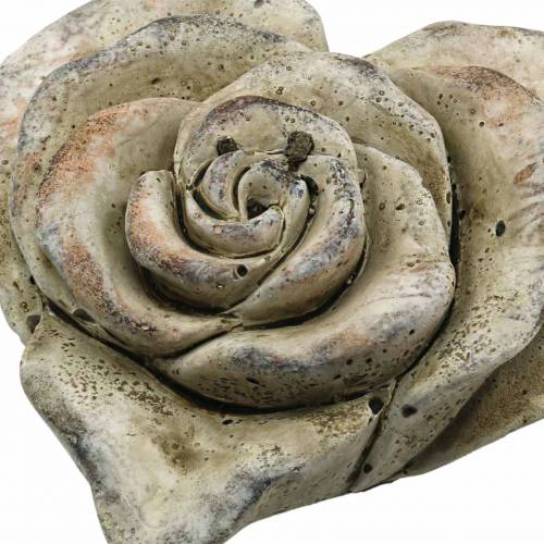 Floristik24 Rosa concreto coração cinza, damasco Ø13 Alt.5cm 3 unid.