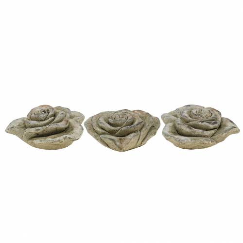 Floristik24 Rosa concreto coração cinza, damasco Ø13 Alt.5cm 3 unid.