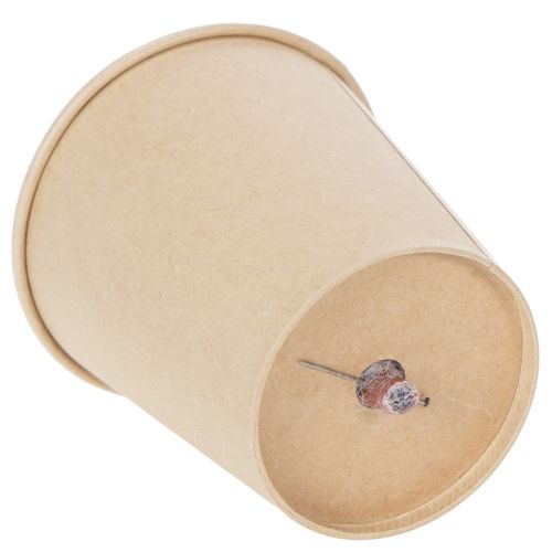 Itens Cabeças de rosas preservadas, presente romântico, rosas duradouras para ocasiões especiais, 5 cm, 6 unidades