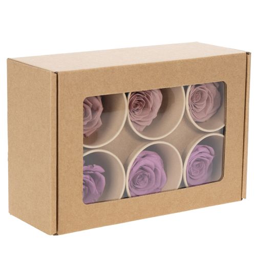 Itens Cabeças de rosas preservadas, presente romântico, rosas duradouras para ocasiões especiais, 5 cm, 6 unidades