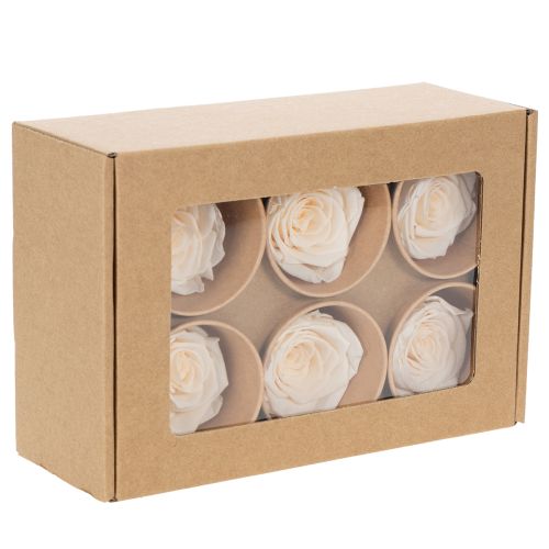 Itens Cabeças de rosa, flores preservadas para arranjos florais elegantes, 5 cm, 6 unidades