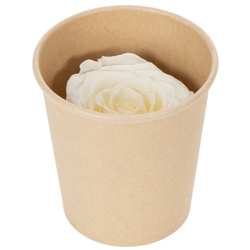 Itens Cabeças de rosas preservadas, decoração de mesa durável para um ambiente romântico, decoração de casamento, 5 cm, 6 peças.