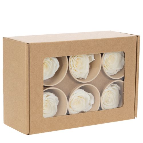 Itens Cabeças de rosas preservadas, decoração de mesa durável para um ambiente romântico, decoração de casamento, 5 cm, 6 peças.