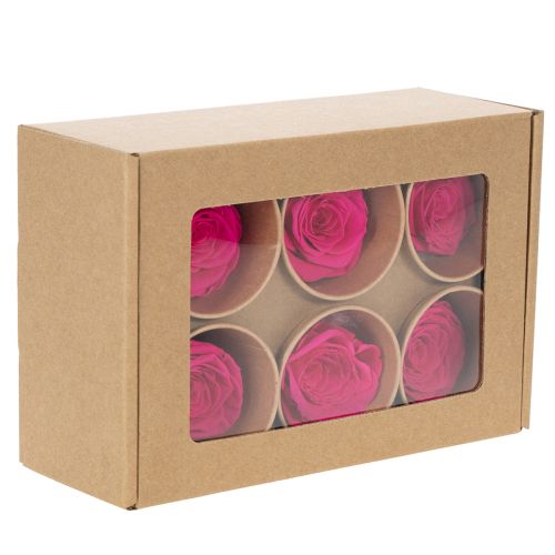 Itens Decorações de rosas preservadas, flores naturais para decoração de mesa, flores únicas e sustentáveis, 5 cm, 6 peças.