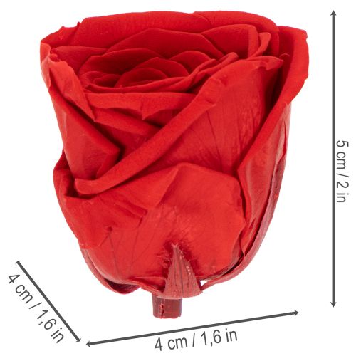 Itens Rosas Preservadas Decorativas e Românticas para Ambientes Residenciais ou Casamentos - 5cm - 6 unidades