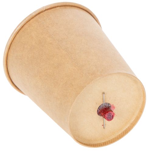 Itens Rosas Preservadas Decorativas e Românticas para Ambientes Residenciais ou Casamentos - 5cm - 6 unidades