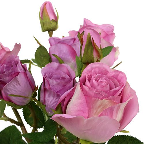 Itens Buquê de rosas rosa velho 40cm