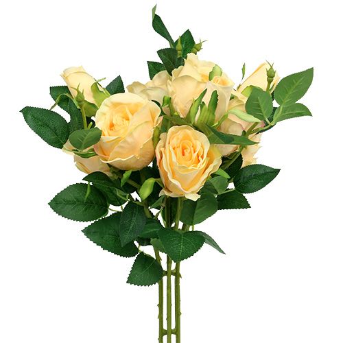 Floristik24 Rosa bouquet creme L46cm