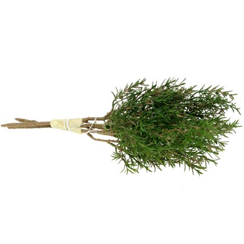 Floristik24 Ramo de alecrim 36cm 3pcs