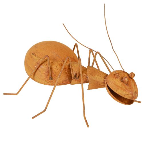 Floristik24 Decoração de ferrugem Formiga Decoração de metal Figura de ferrugem Jardim 21,5cm
