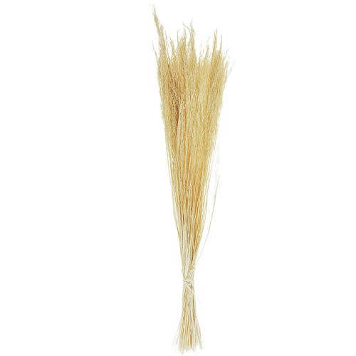 Floristik24 Grama Torta Agrostis Capillaris Grama Seca Branqueada 65cm 80g