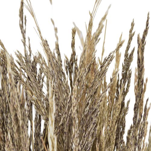 Floristik24 Grama Torta Agrostis Capillaris Grama Seca Natureza 60cm 80g